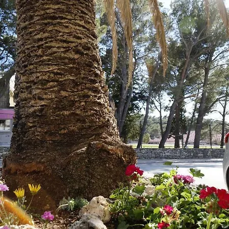 Frapedo Sport Lejlighed *