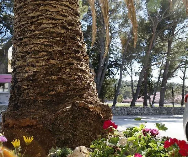 Frapedo Sport דירה *